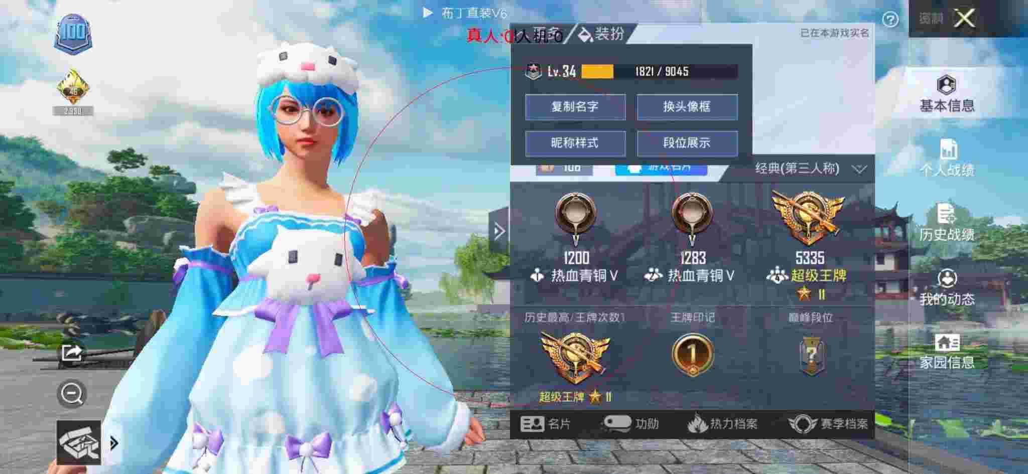 和平精英布丁直装透视 - 和平科技发卡网辅助预览图